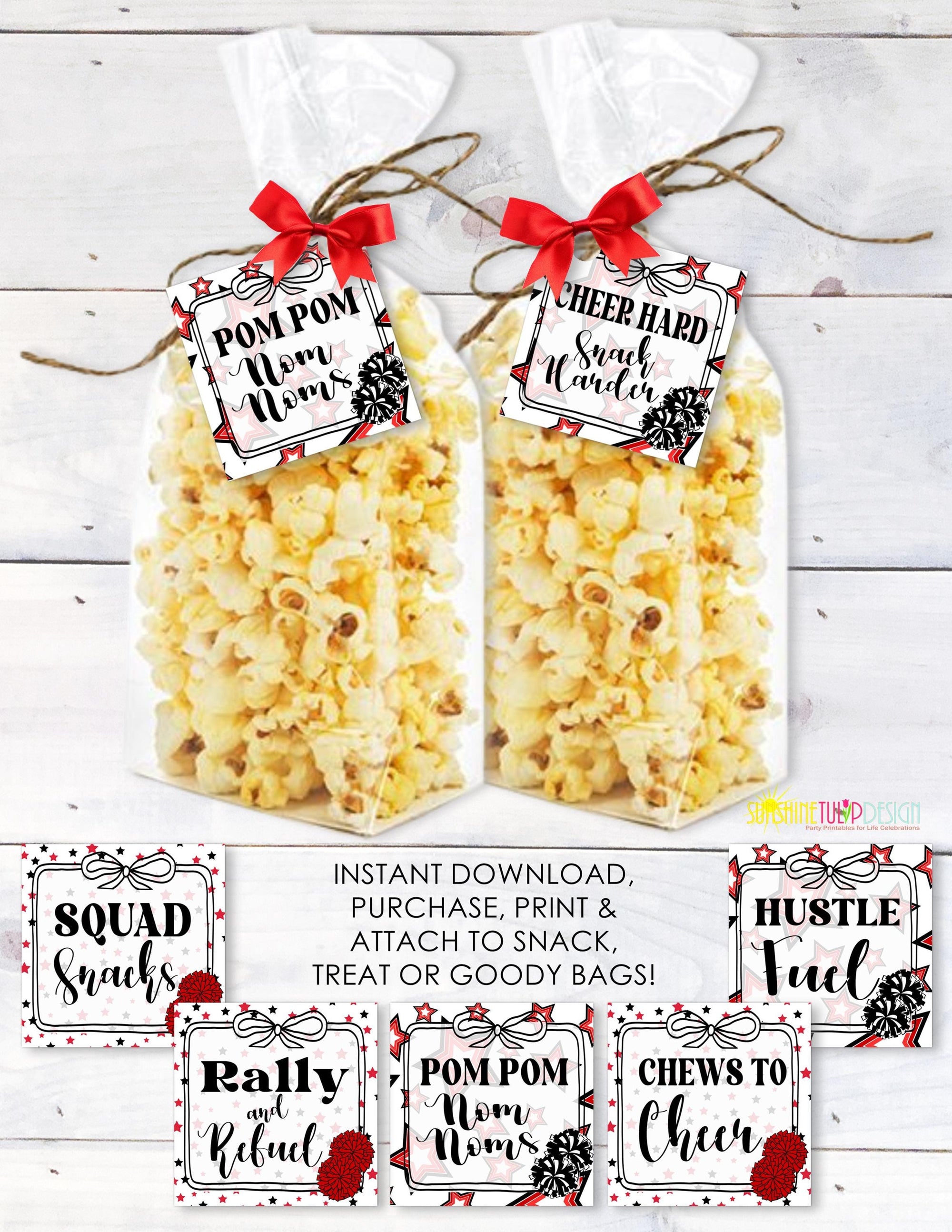 Printable Cheer Squad Snack Tag, Cheer Favor Gift Tags, Game Day Goody Bag Party Favor, Snack Mom Cheerleading Gift Tag, INSTANT DOWNLOAD