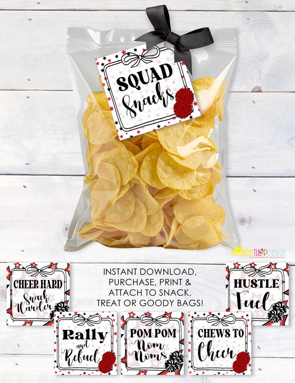 Printable Cheer Squad Snack Tag, Cheer Favor Gift Tags, Game Day Goody Bag Party Favor, Snack Mom Cheerleading Gift Tag, INSTANT DOWNLOAD