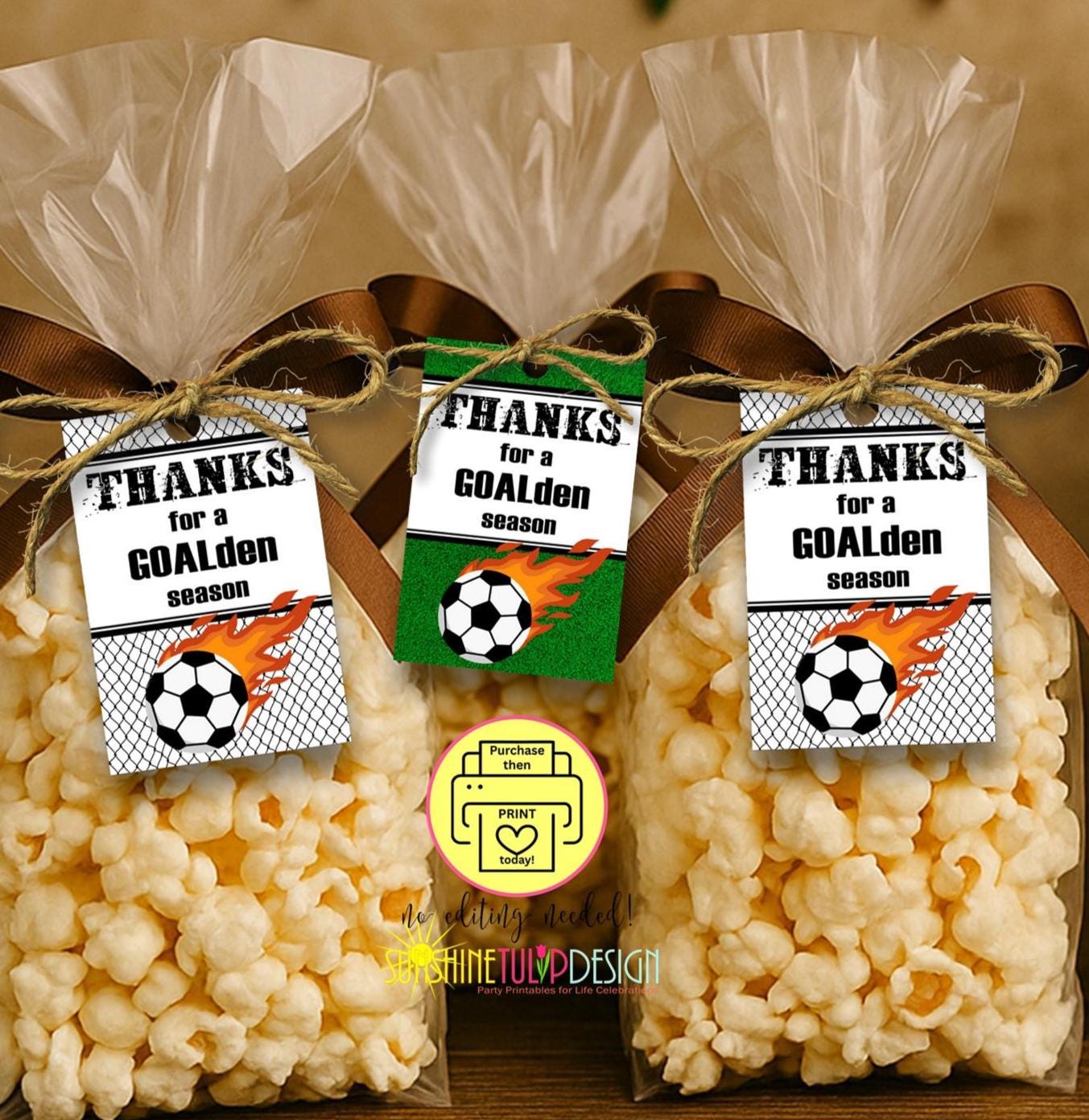 Printable Soccer Thank You Tags | End of Season Soccer Tag | Soccer Thank You Gift Tag | Thank you Coach Tag | End of Season Party