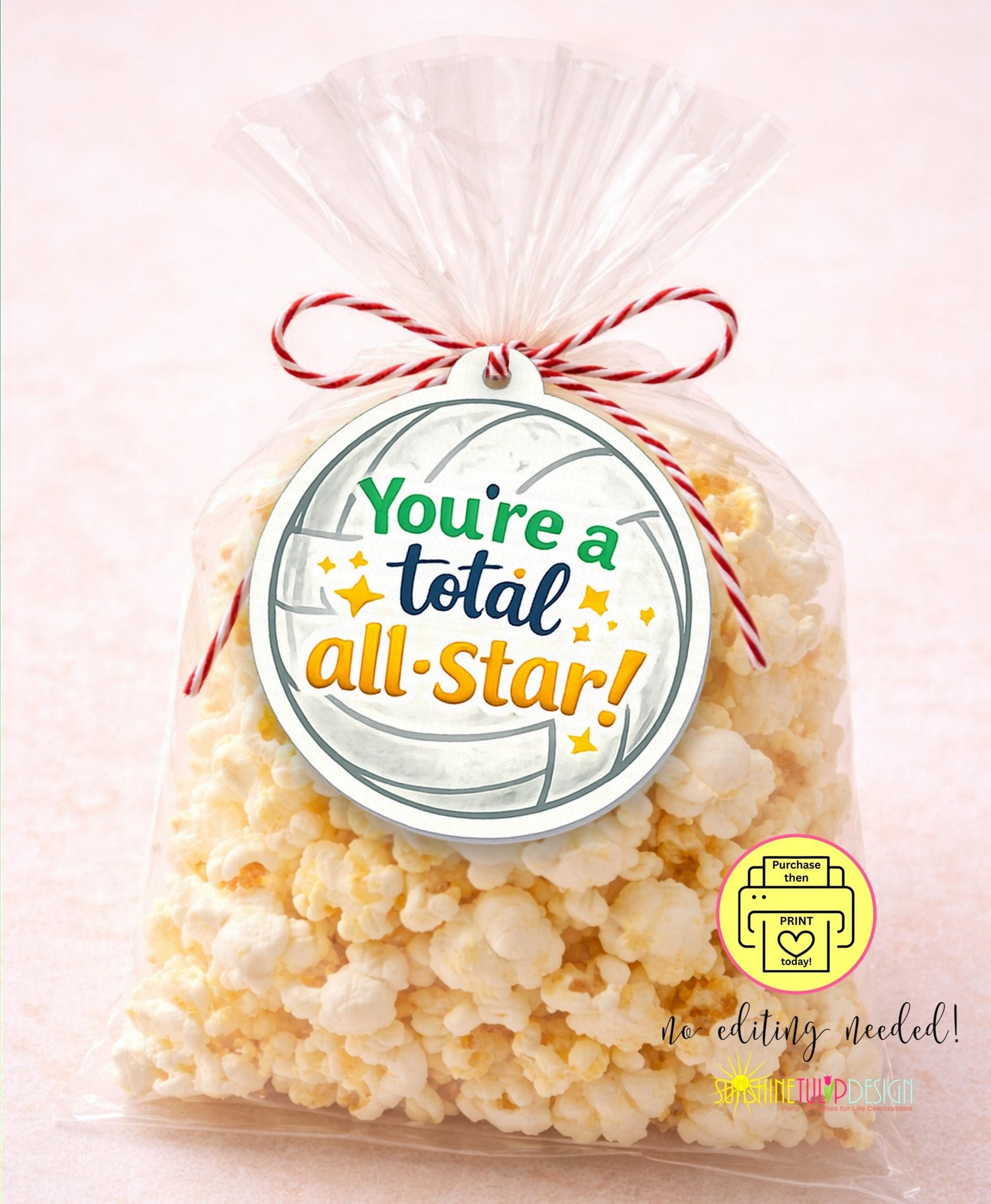 Sports Tag Bundle | Printable Sports Snack Tag | Softball Tennis Volleyball Soccer | Multi Sport Snack Tag | Snack Mom Tag | PDF Download