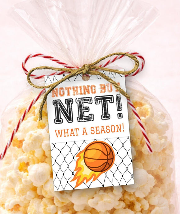 Basketball End of Season Tag | Nothing But Net What a Season | Team Gift Tag Printable | Coach Gift | Basketball Banquet Favor | PDF, JPEG