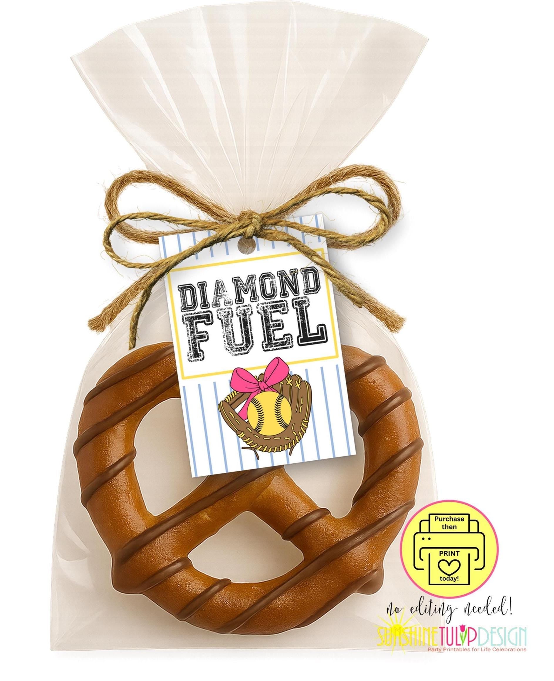 Softball Snack Tags Printable | Diamond Fuel Tag | Softball Team Treat Tag | Softball Party Favor | Softball Team Gift | Dugout Snack Tag