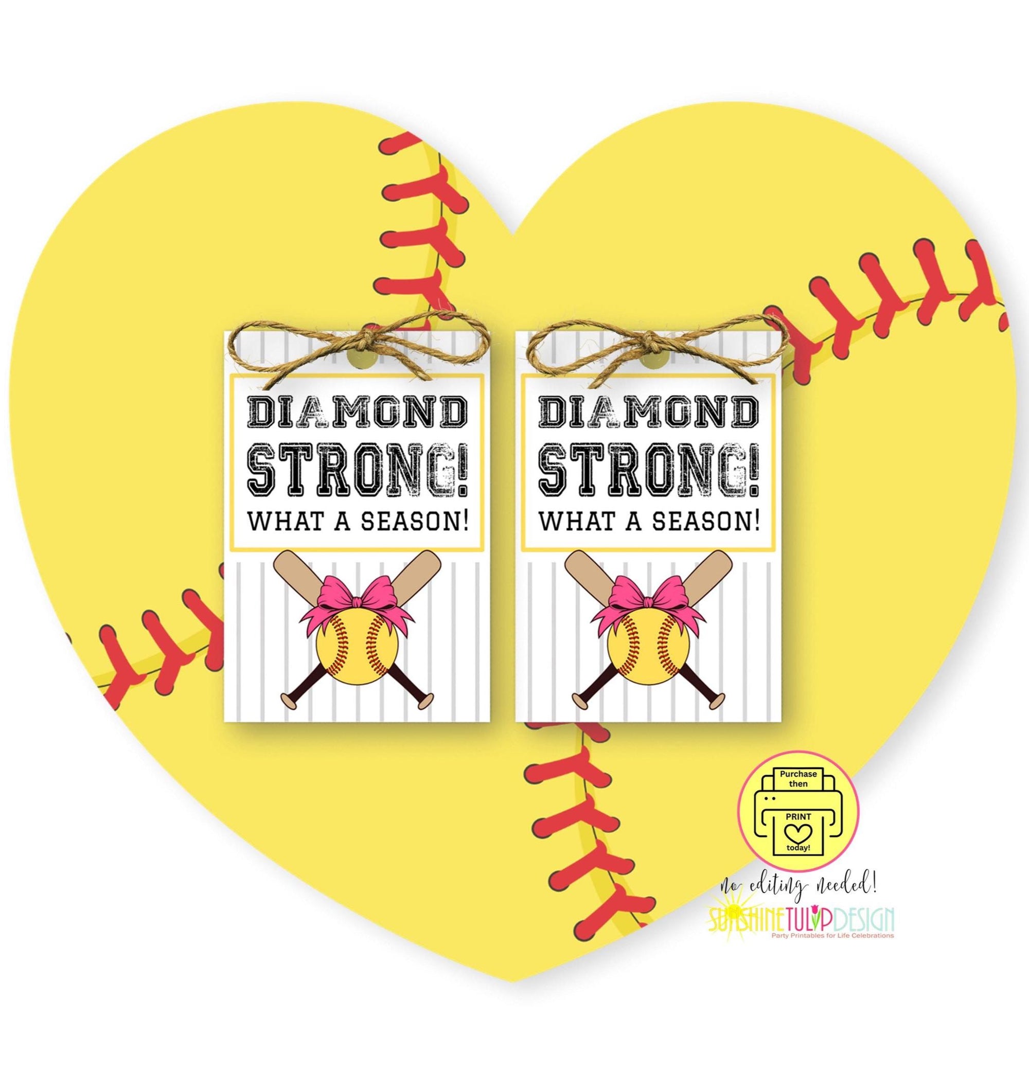Softball End of Season Tag | Diamond Strong What a Season | Softball Team Gift Tag Coach Gift | Softball Banquet Favor | Softball Printable