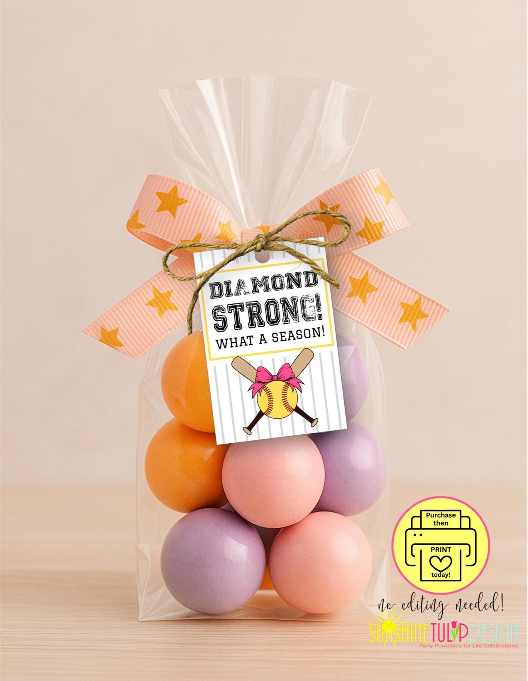 Softball End of Season Tag | Diamond Strong What a Season | Softball Team Gift Tag Coach Gift | Softball Banquet Favor | Softball Printable