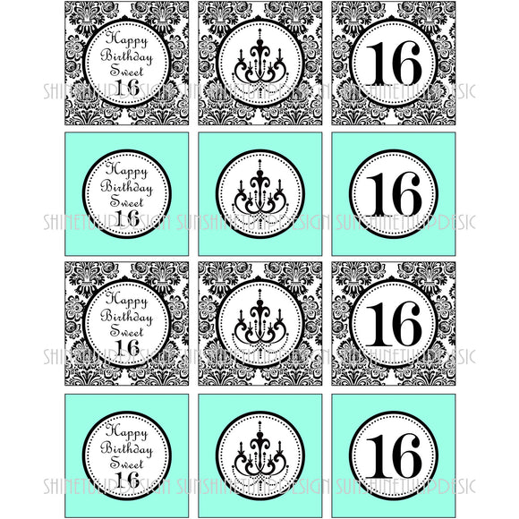 Printable Sweet 16 Birthday Cupcake Toppers, Sticker Labels & Party Favor Tags by SUNSHINETULIPDESIGN - Sunshinetulipdesign