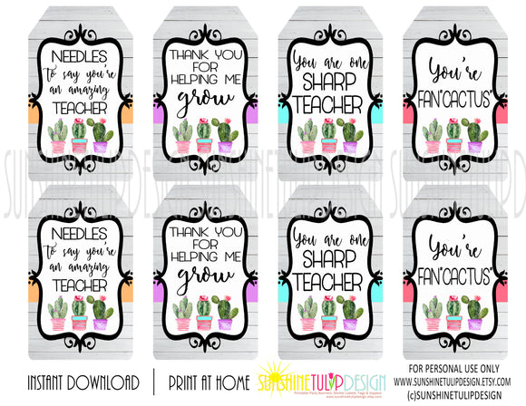 Teacher Appreciation and Back To School PTA