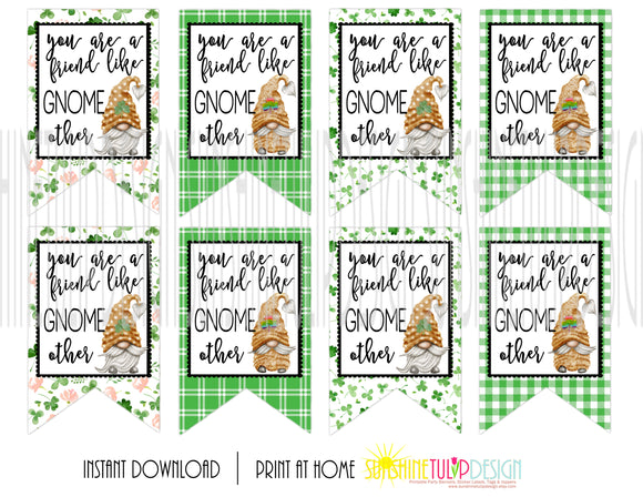 Printable St Patrick's Day Gift Tags, A Friend Like Gnome Other Tags, Gnome Gift Tags by SUNSHINETULIPDESIGN