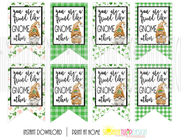 Printable St Patrick's Day Gift Tags, A Friend Like Gnome Other Tags, Gnome Gift Tags by SUNSHINETULIPDESIGN