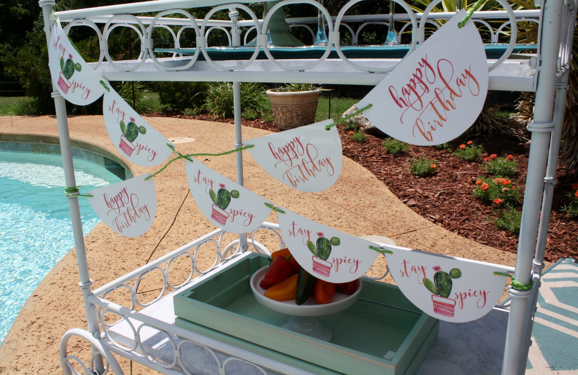 cactus birthday banner