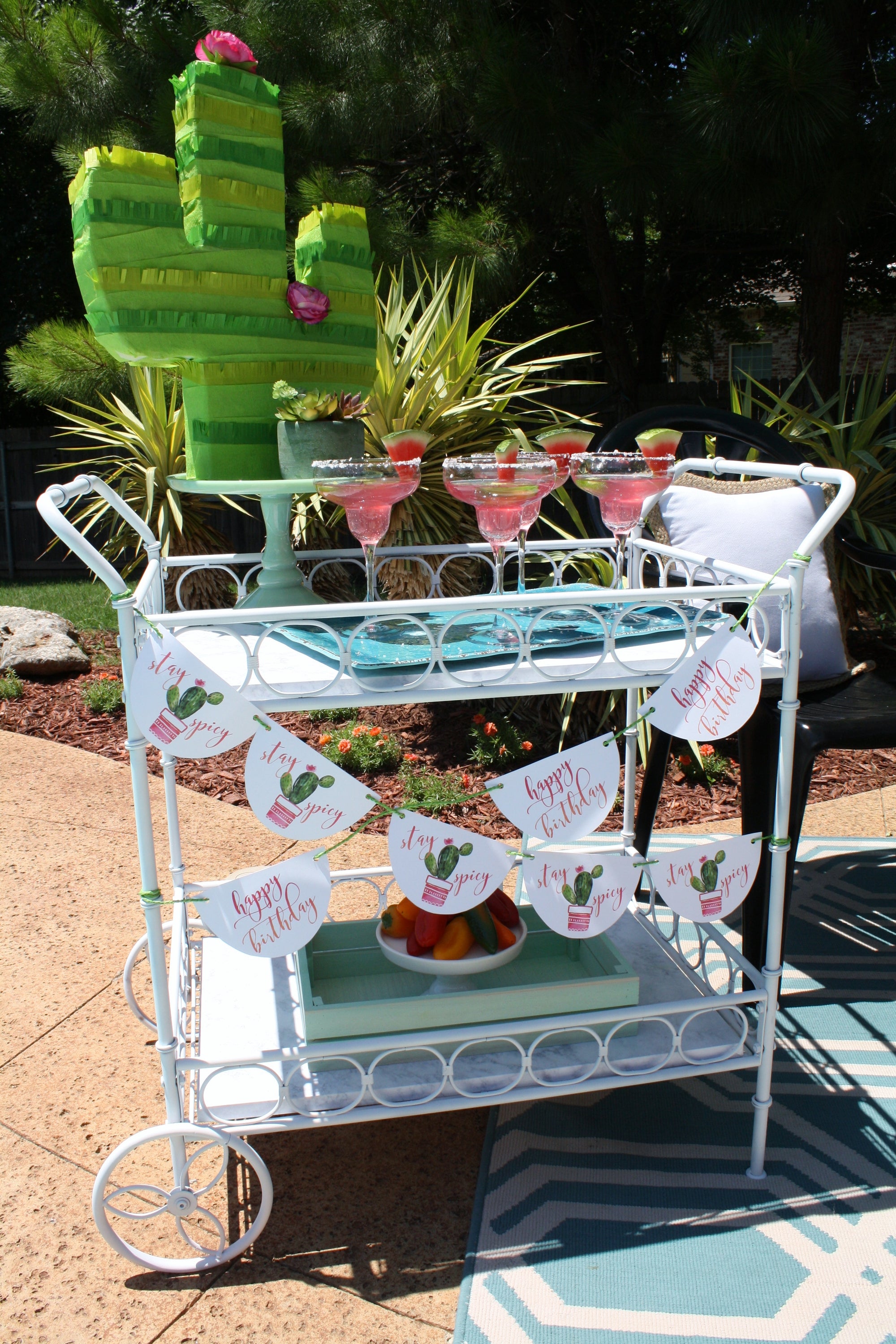 cactus birthday banner