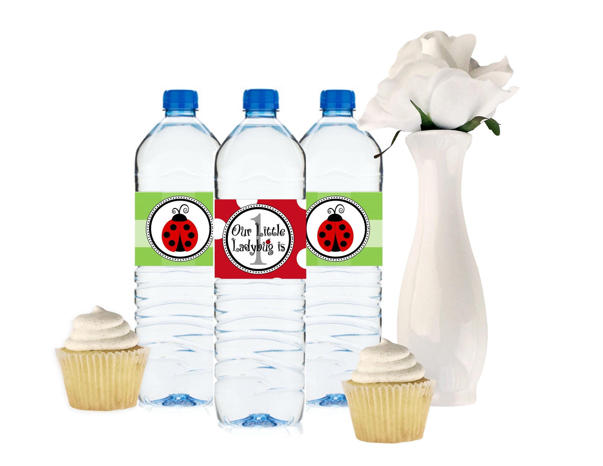 Printable Little Ladybug Birthday Party Package, LadyBug Party Decorations by SUNSHINETULIPDESIGN