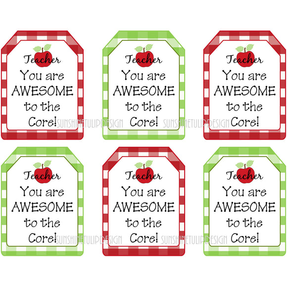 You are Awesome Printable Teacher Tags - Sunshinetulipdesign