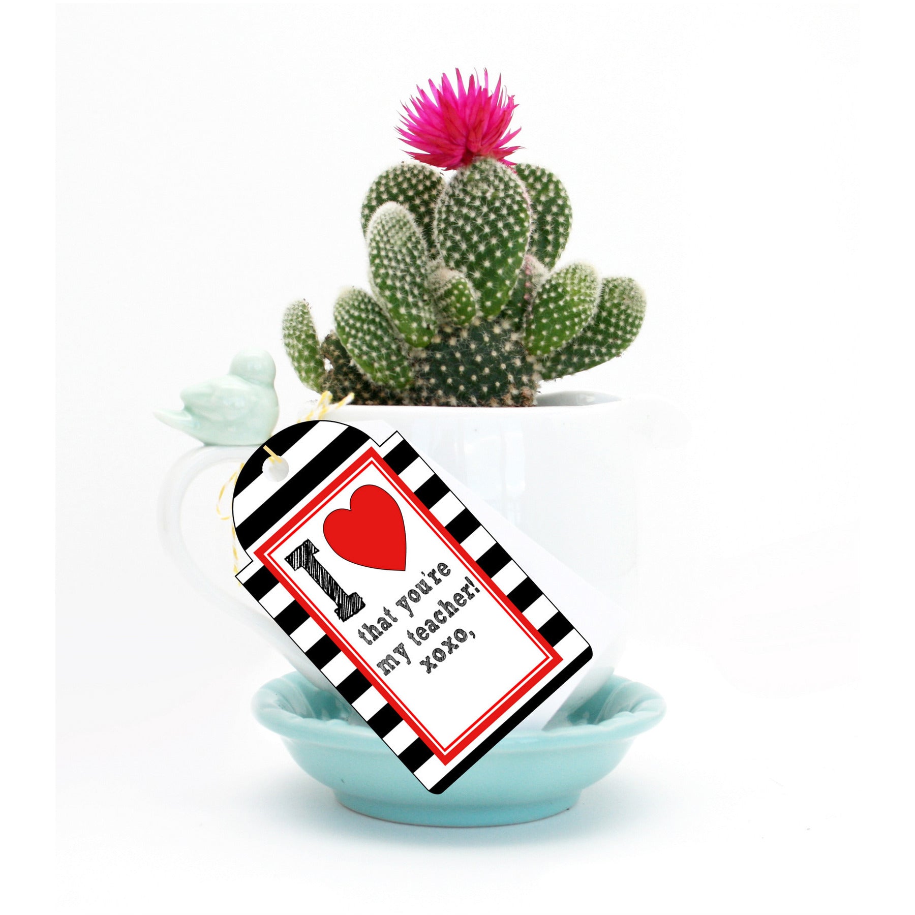 succulent teacher gift tag Printable Welcome Back to School Tags, Printable Teacher Appreciation