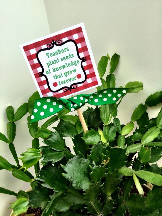 Teachers Plant Seeds Teacher Appreciation Gift Tags