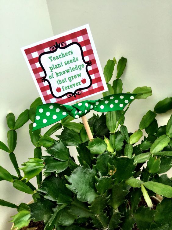 Printable Teacher Appreciation, Teachers Plant Seeds Gift Tags & Plant Stakes by SUNSHINETULIPDESIGN