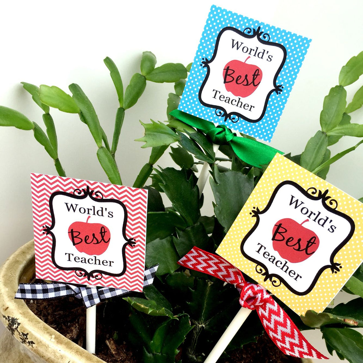 Printable Teacher Appreciation Tags, World's Best Teacher Gift Tags, Teacher Appreciation Plant Stake Tags by SUNSHINETULIPDESIGN