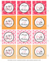 Printable 60th Birthday Pink & Orange Cupcake Toppers, Sticker Labels & Party Favor Tags - Sunshinetulipdesign