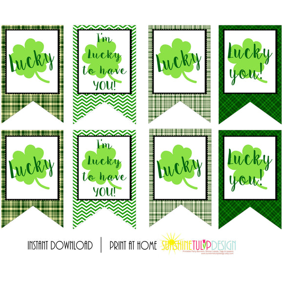 Printable St Patrick's Day Gift Tags, Lucky to Have You Gift Tags, Green Plaid Clover Party Favor Gift Tags by SUNSHINETULIPDESIGN - Sunshinetulipdesign