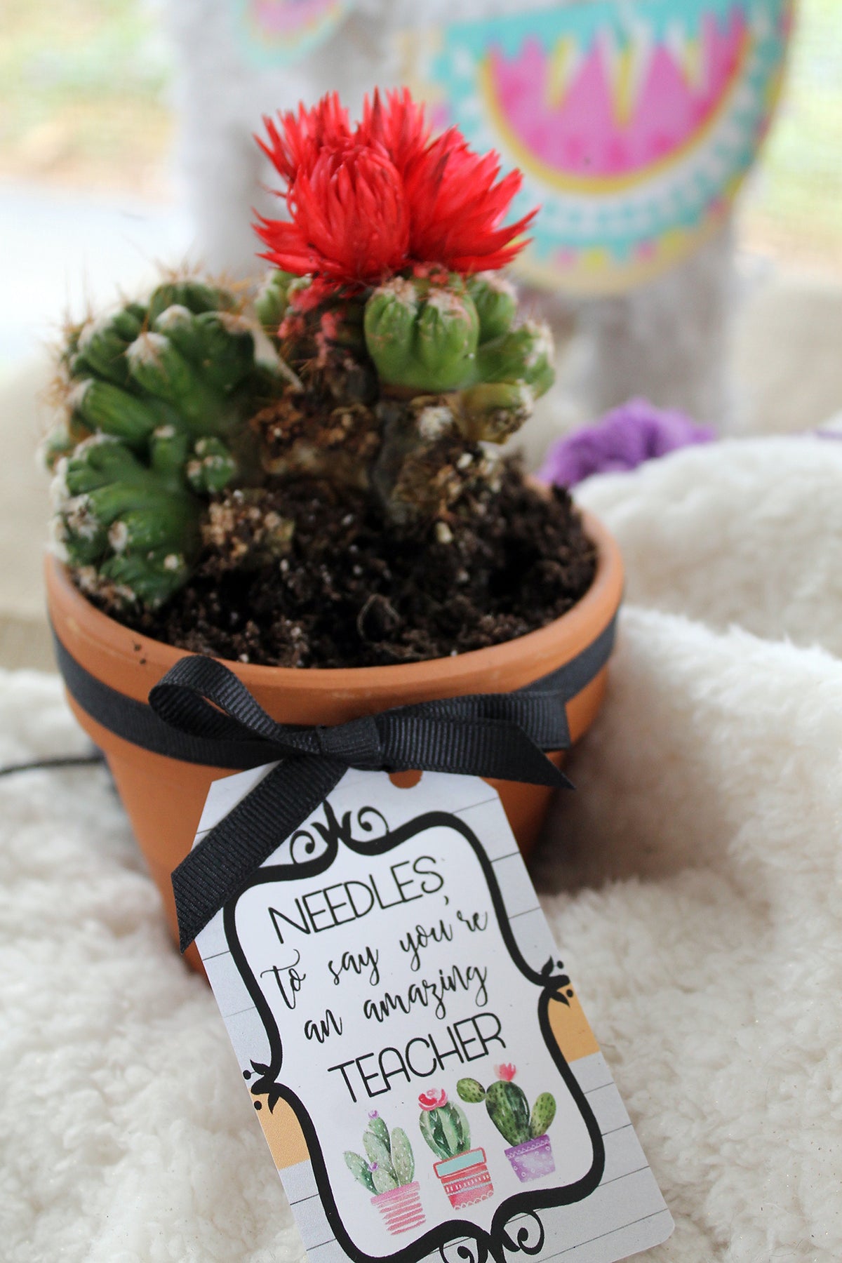 Printable Cactus Gift Tags, Printable Teacher Appreciation Gift Tags, You Are FanCACTUS Gift Tags by SUNSHINETULIPDESIGN