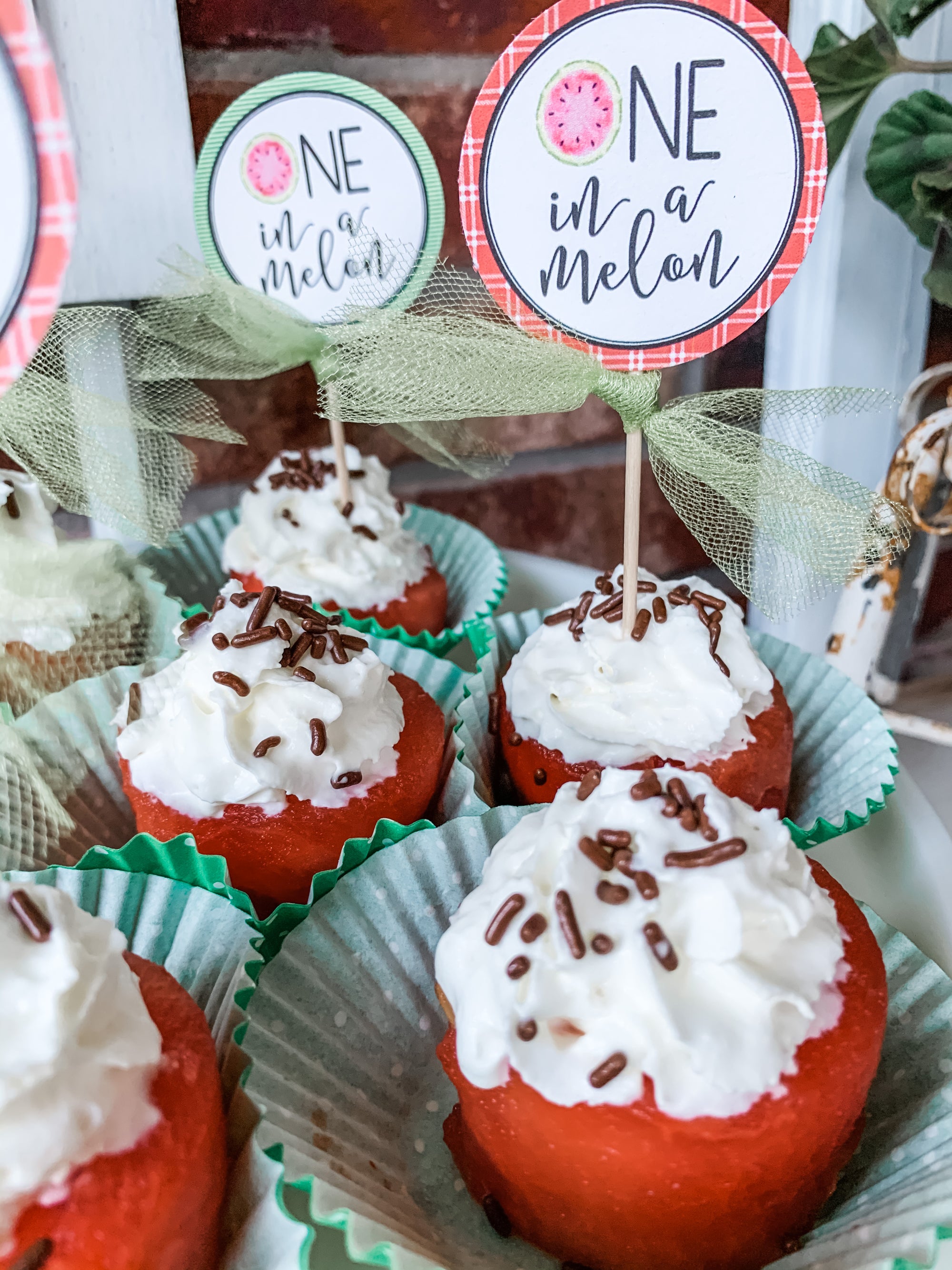 Printable Watermelon Party Decorations, Printable One in a Melon Birthday Decorations, Printable Fruit Birthday Decorations by SUNSHINETULIPDESIGN