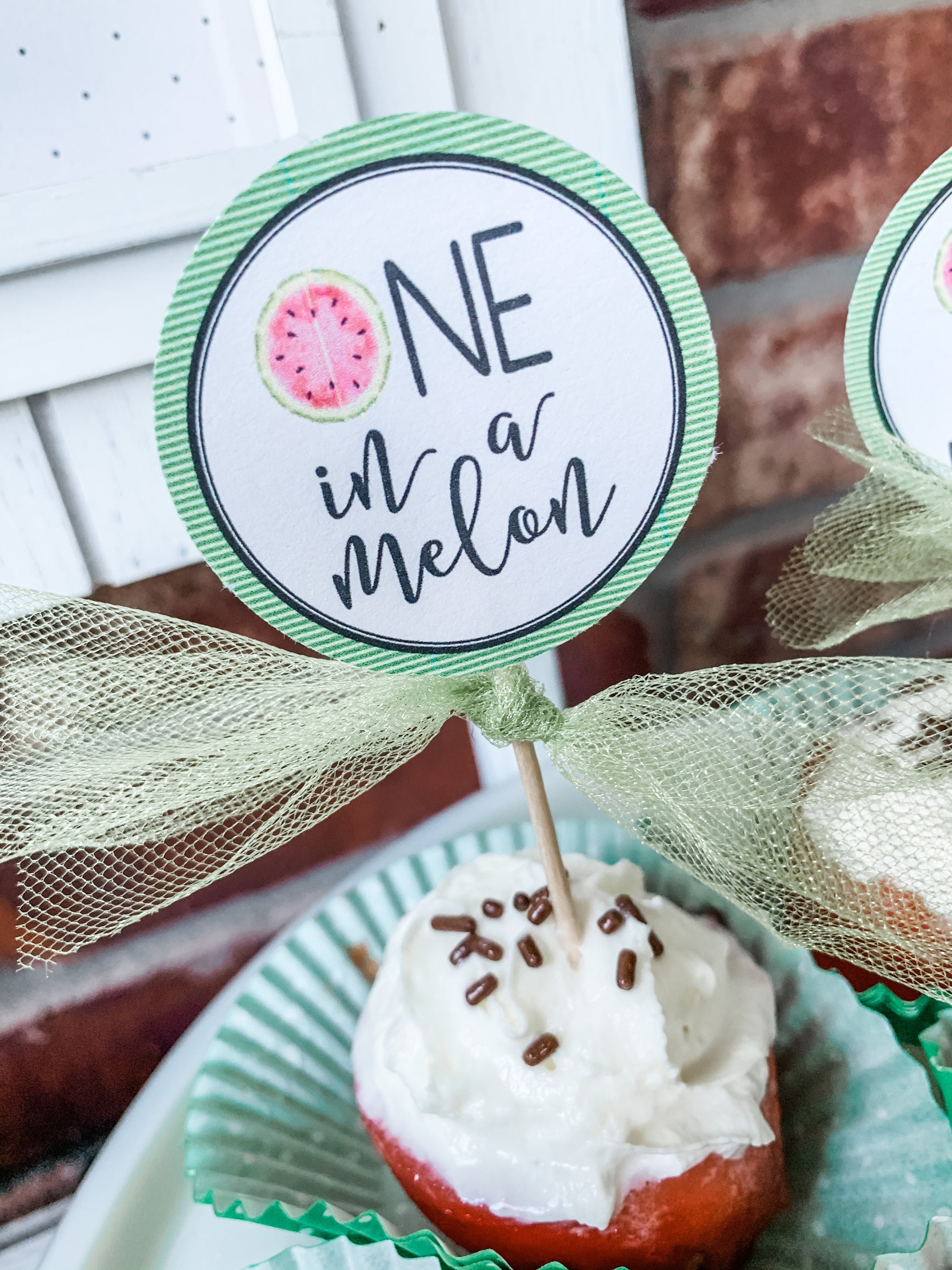 Printable Watermelon Party Decorations, Printable One in a Melon Birthday Decorations, Printable Fruit Birthday Decorations by SUNSHINETULIPDESIGN