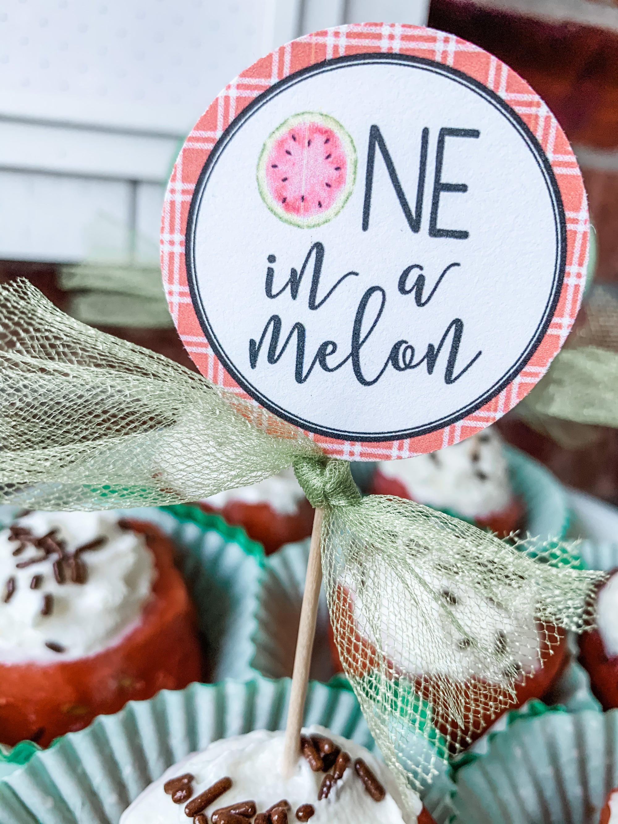 Printable Watermelon Party Decorations, Printable One in a Melon Birthday Decorations, Printable Fruit Birthday Decorations by SUNSHINETULIPDESIGN